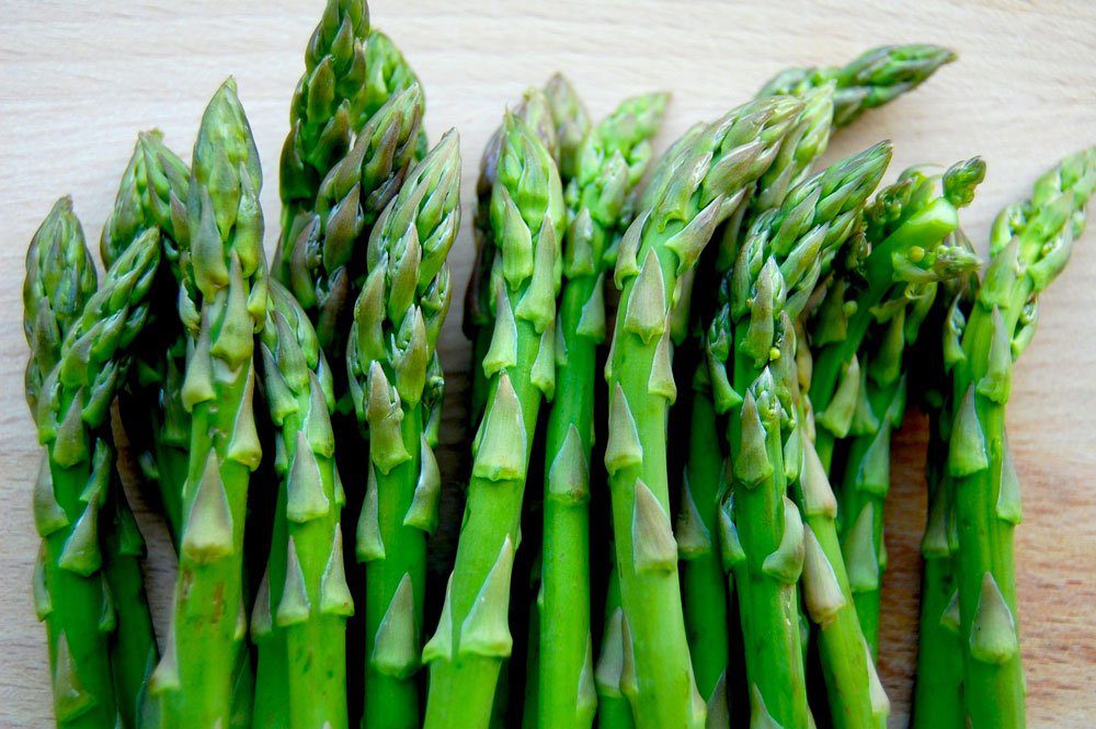 Josh Raine & Springtime 1 asparagus web
