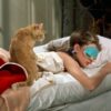 tbb holly golightly eye mask 0