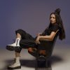 amy shark