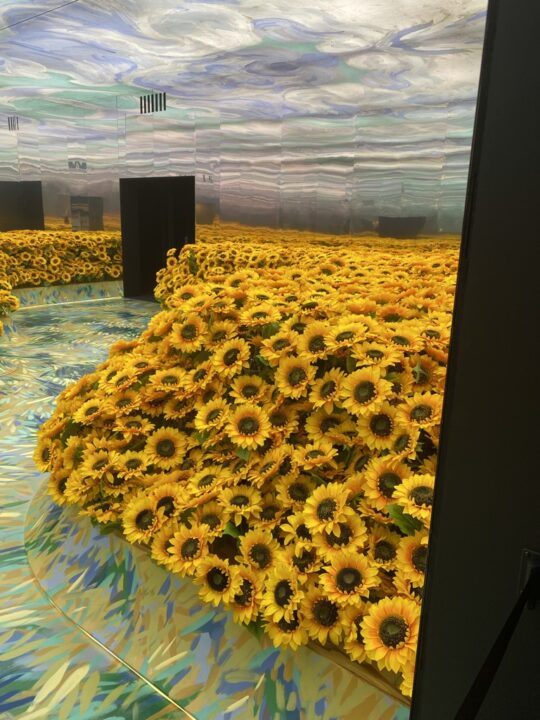 van gogh alive sunflowers