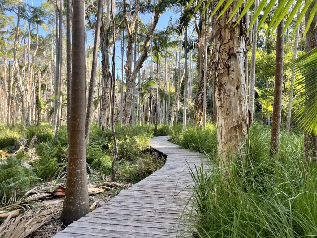 One of the many boardwalks between attractions at Crystalbrook Byron