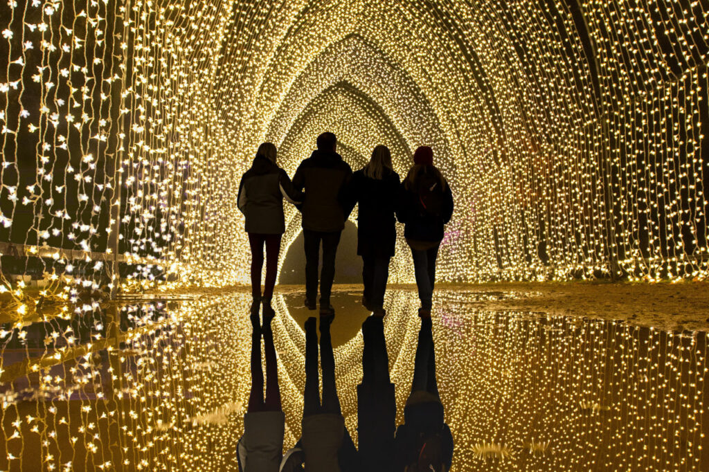 Fairy lights with a mirrored image on the floor for Lightscapes Brisbane Festival