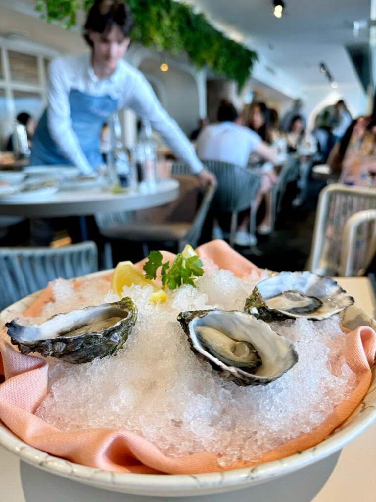 Three Oysters sit on a bed of ice in a bowl.