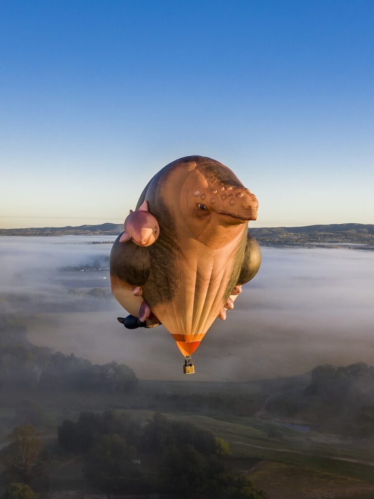 Patricia Piccinini Skywhalepapa print version