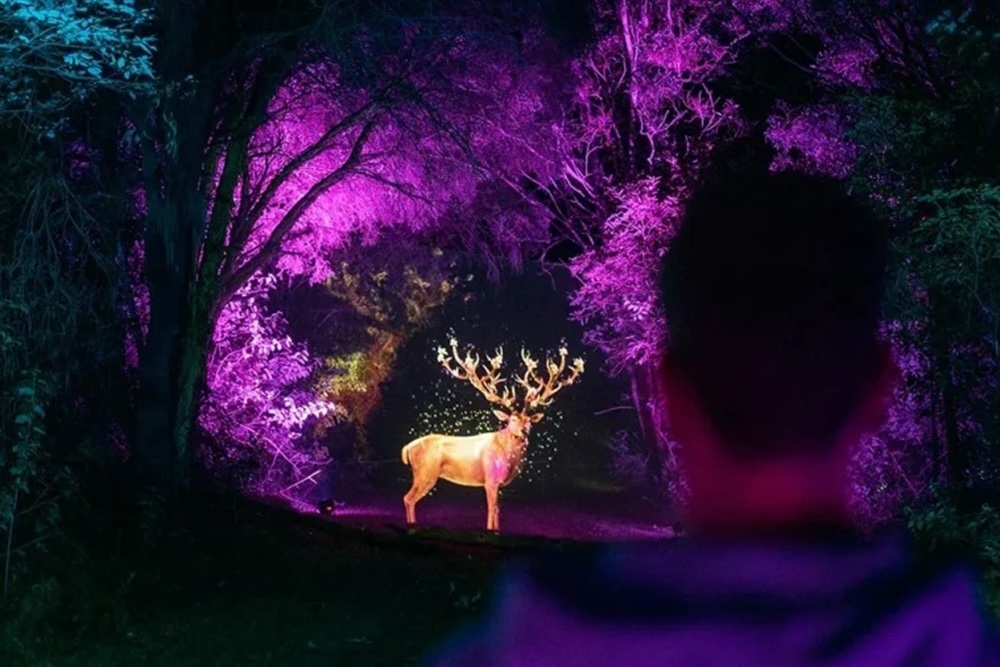 Beyond Light Show is winter's most magical family night out 3 Beyond2