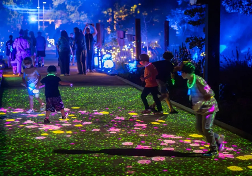 Beyond Light Show is winter's most magical family night out 4 P3211352 1 andulf ey4mtl ZWQnlT copy