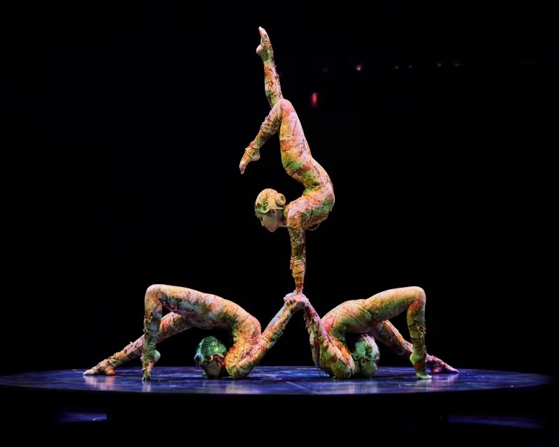 kooza gallery 04 contortion 800x640 copy